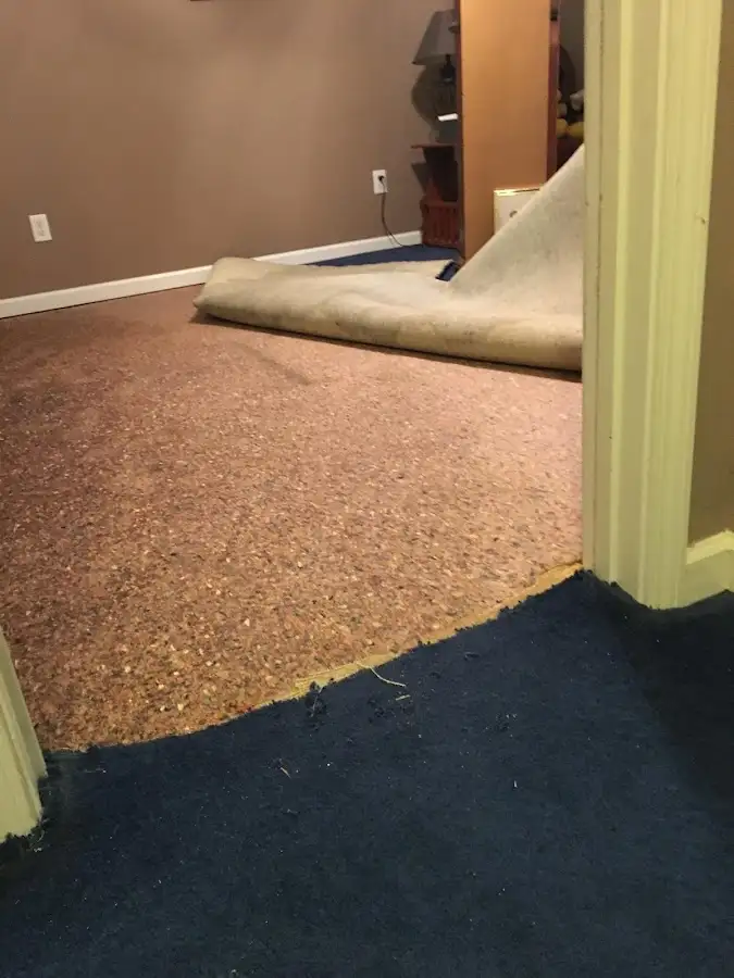 Carpet pad removal revealing water damage during Drying & Dehumidification in Thomson