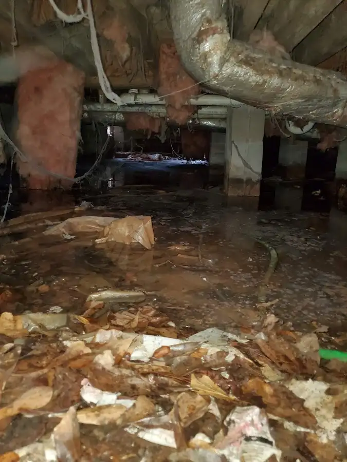 Crawl space flood assessment for Commercial Water Damage Restoration in Thomson