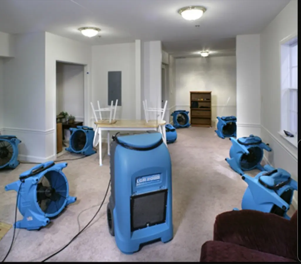 Air movers and dehumidifier setup for Water Extraction & Removal in Thomson