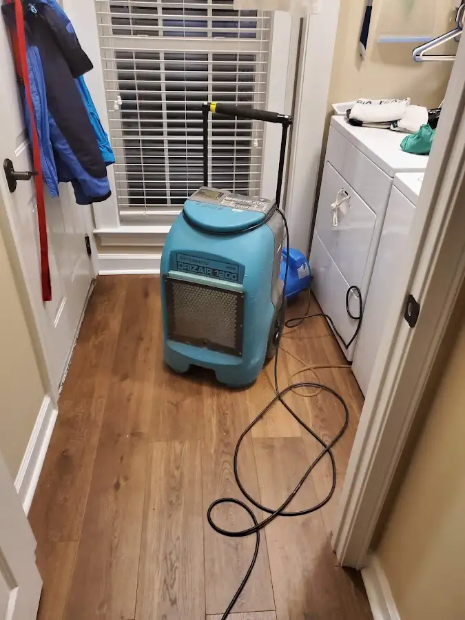 Commercial dehumidifier deployed for Flood Damage Cleanup in Thomson