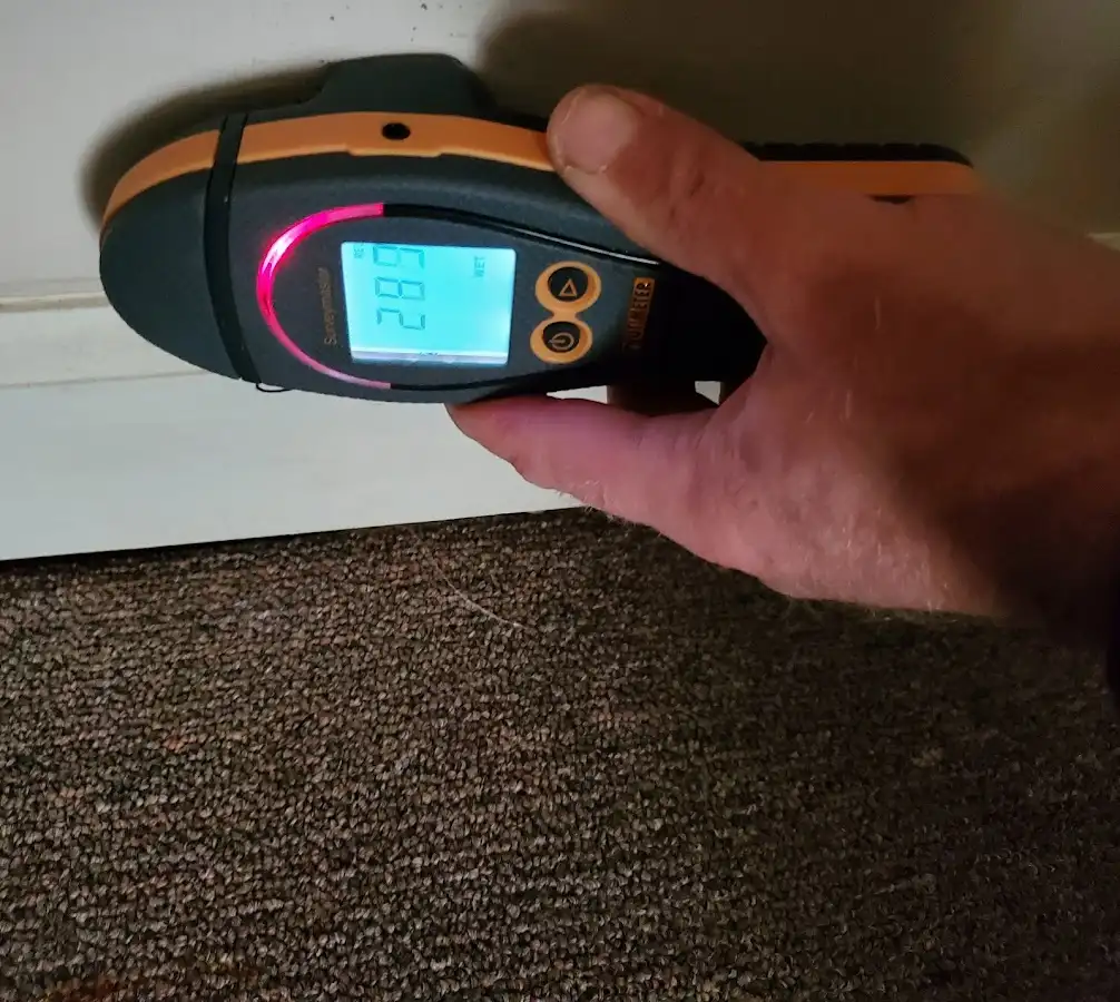 Moisture detection at baseboard during Sewage Cleanup & Sanitation in Thomson